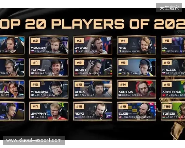 HLTV 2025年度最佳选手TOP12：mezii